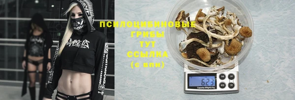 крисы Беломорск