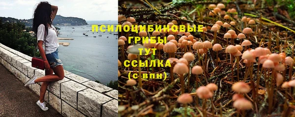 крисы Беломорск