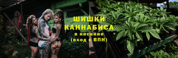крисы Беломорск